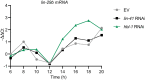 Figure 9—figure supplement 2.