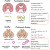 Fig. 1