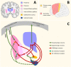 Fig. 2