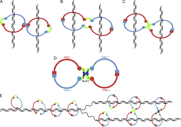 Figure 7.