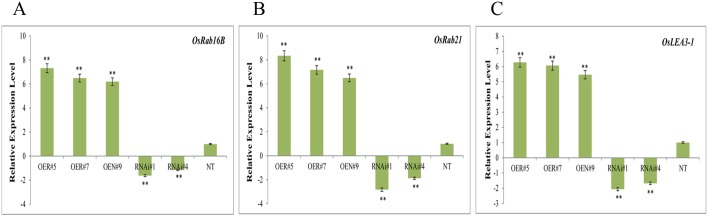 Fig 8