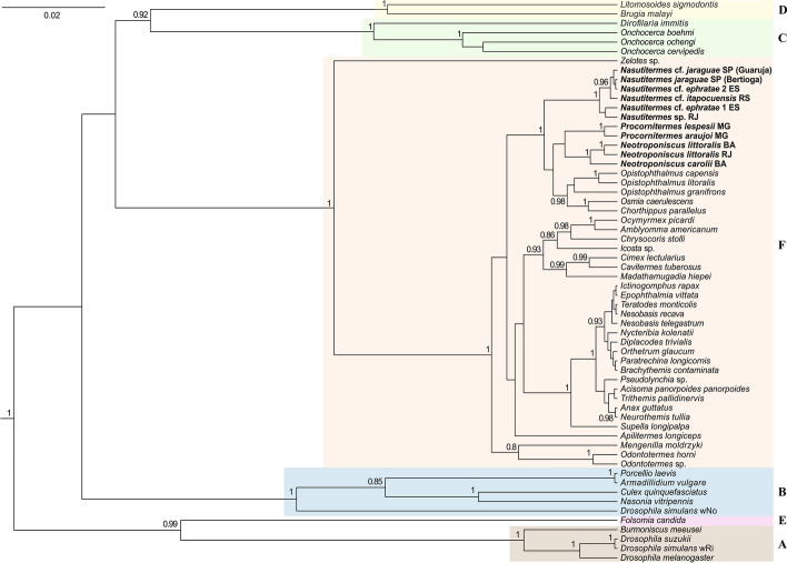 Fig. 3