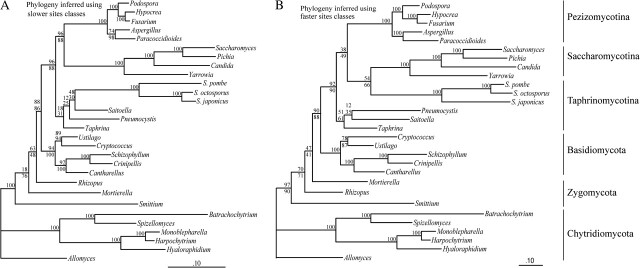 FIG. 4.—