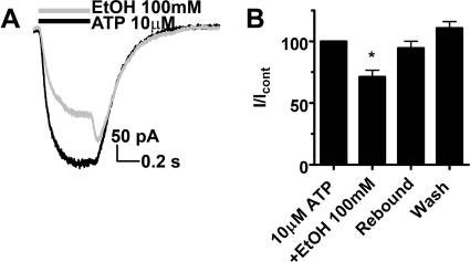 Fig. 8.