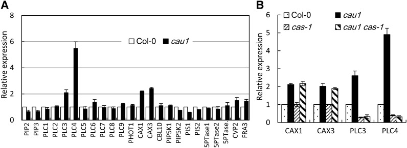 Figure 7.