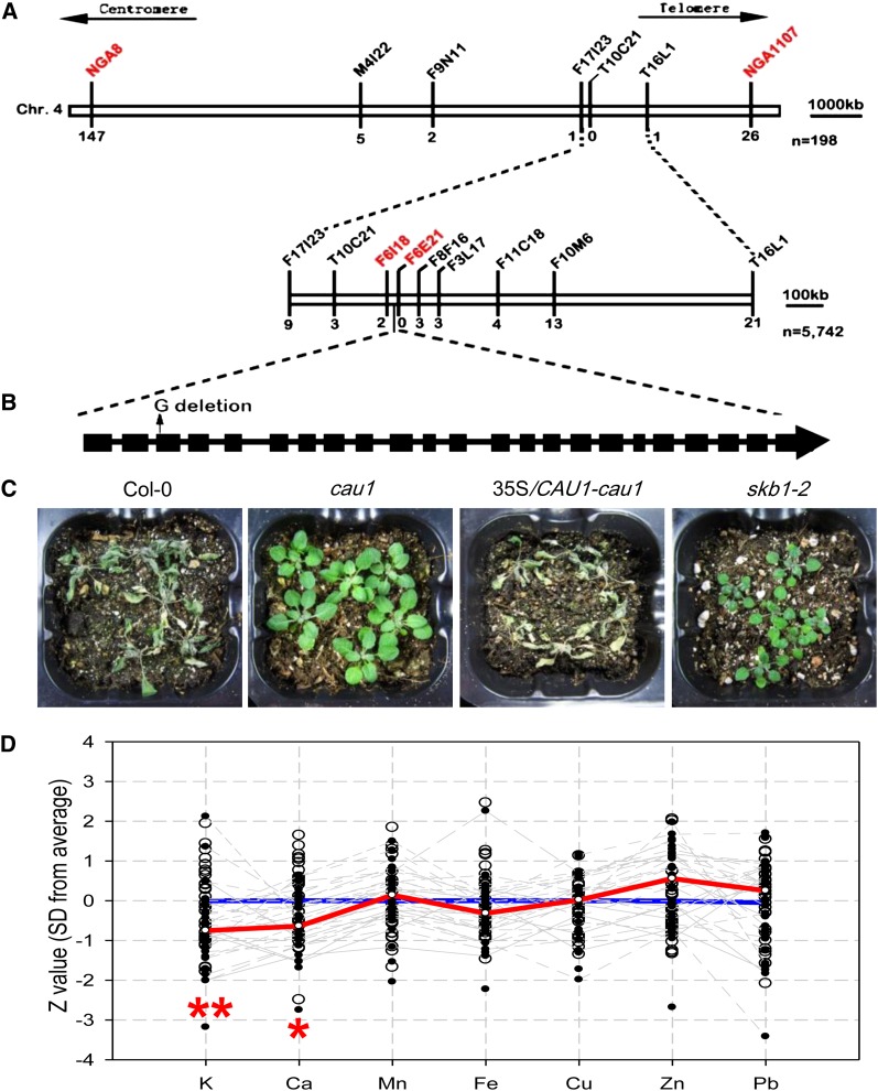 Figure 2.