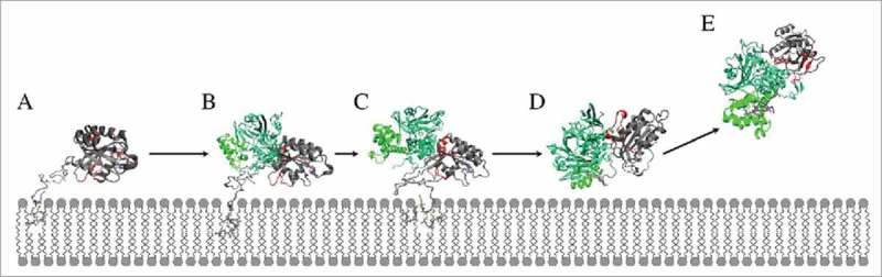 Figure 15.