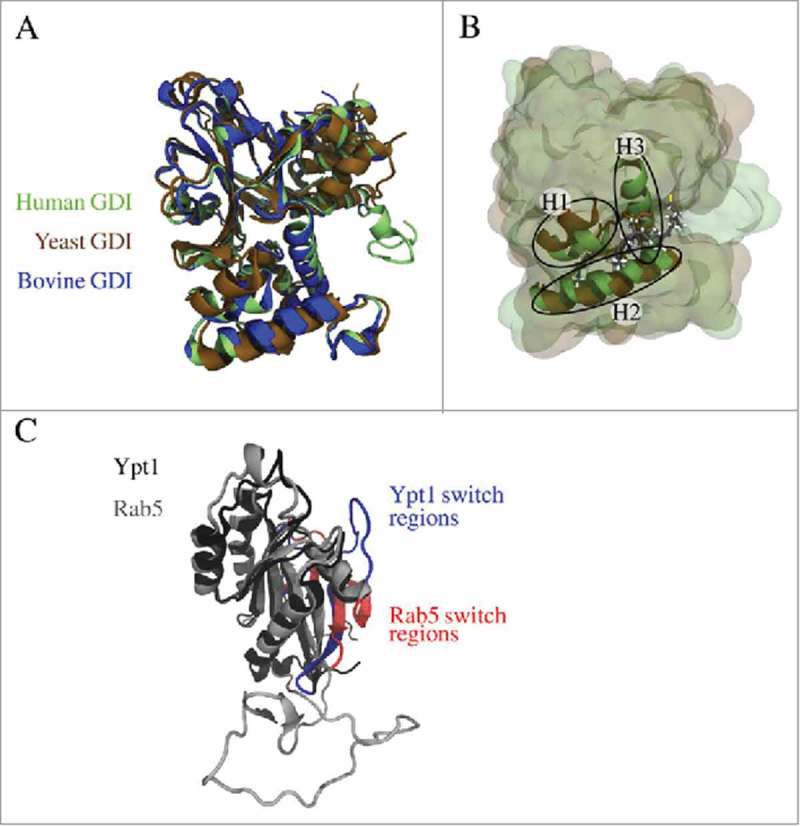 Figure 2.