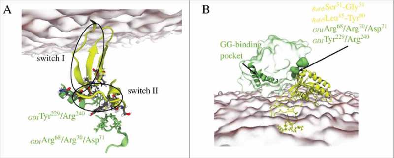 Figure 14.