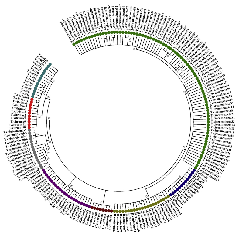 Supplementary Fig. S1