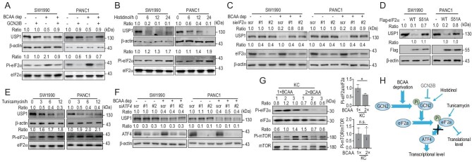 Figure 4.