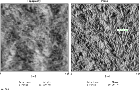 Fig. 9