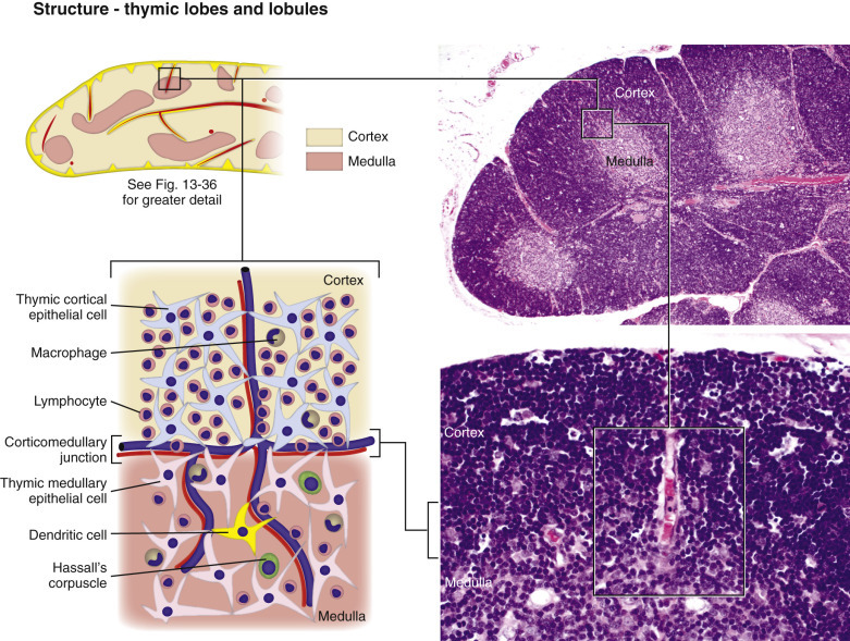 Figure 13-37