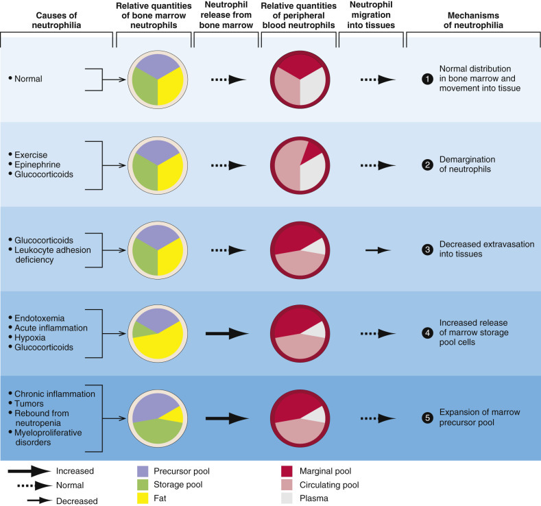 Figure 13-18