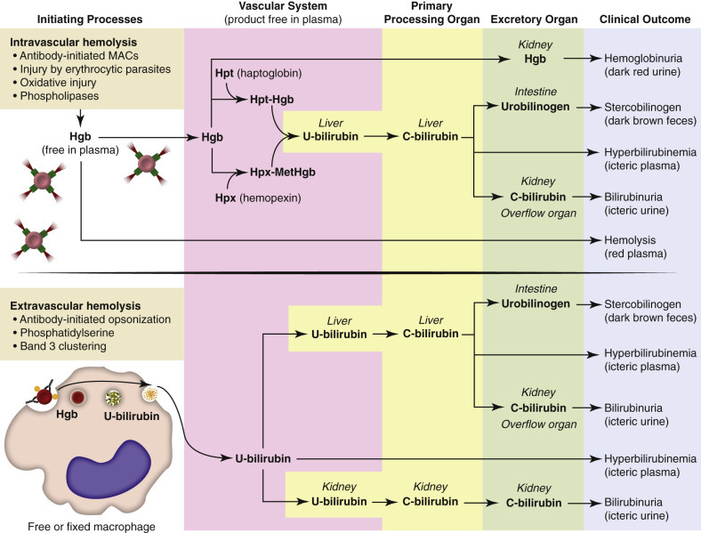 Figure 13-9