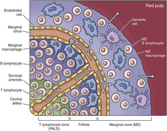 Figure 13-40