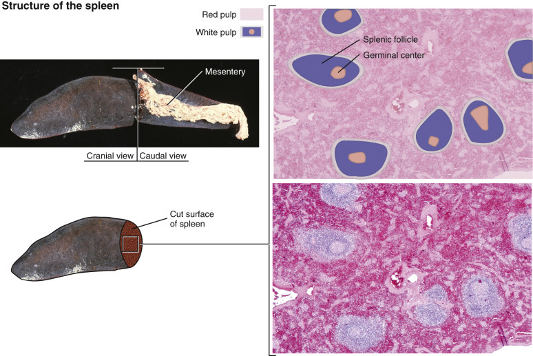 Figure 13-38