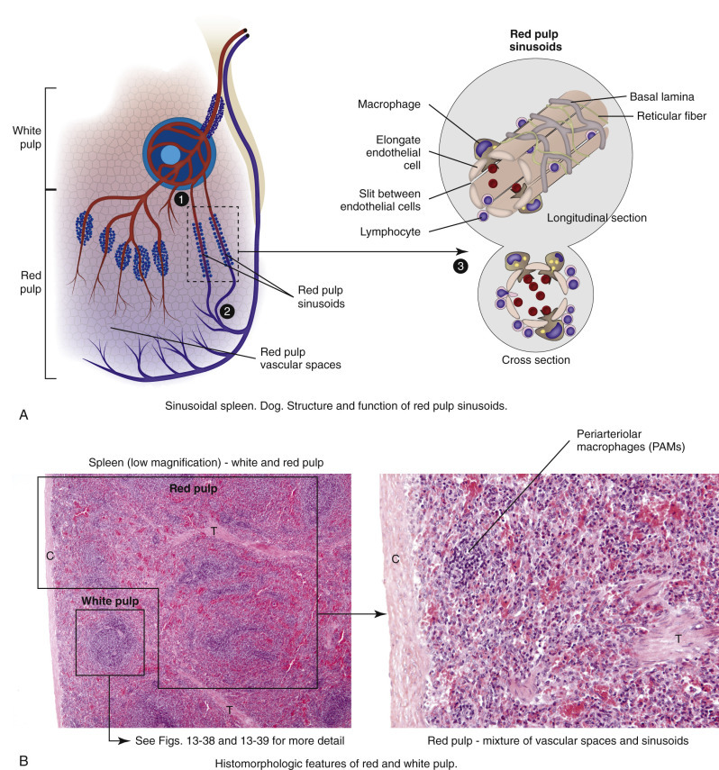 Figure 13-42