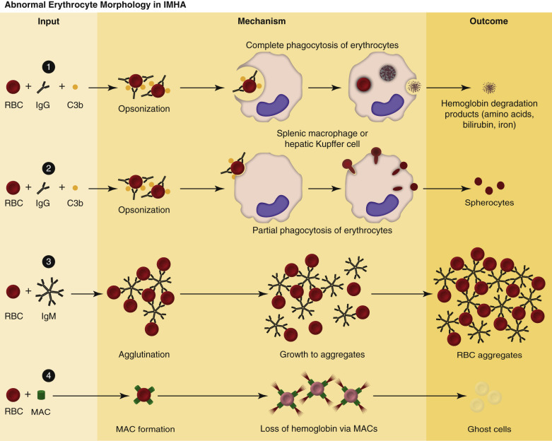 Figure 13-12