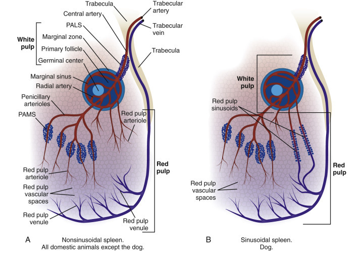 Figure 13-41