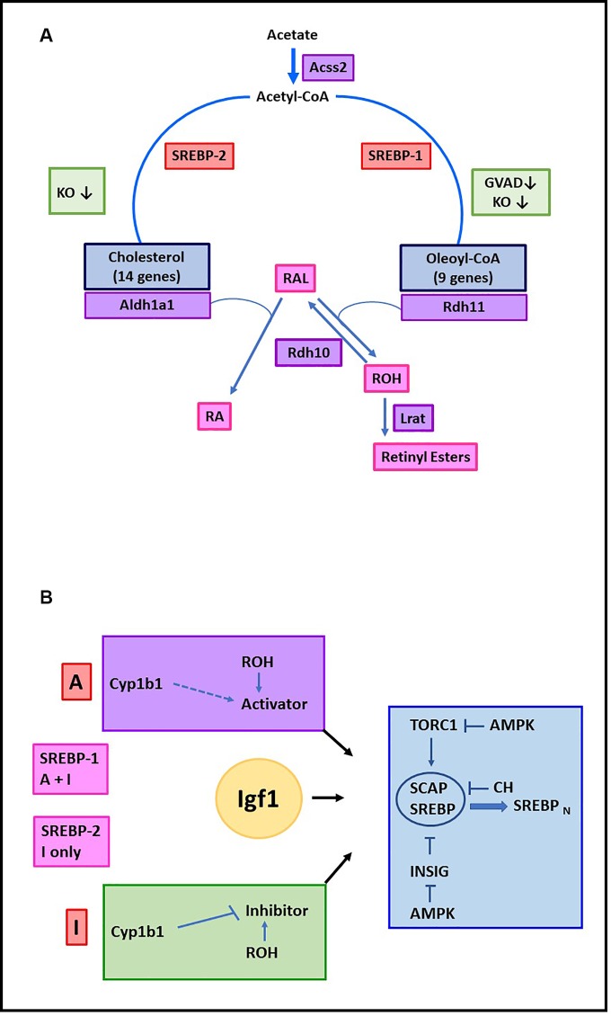 Fig 9