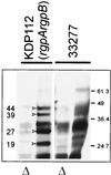 FIG. 5