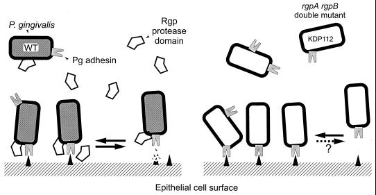 FIG. 7