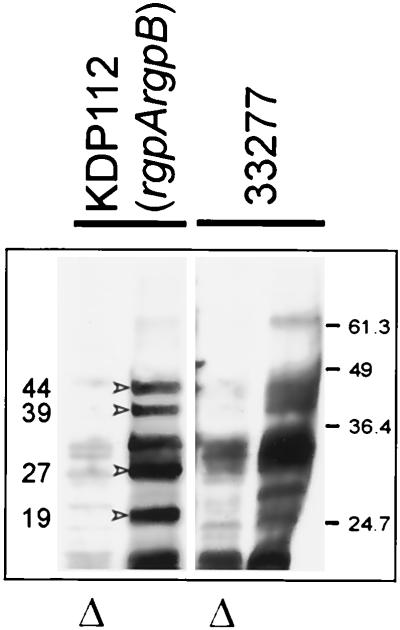 FIG. 5