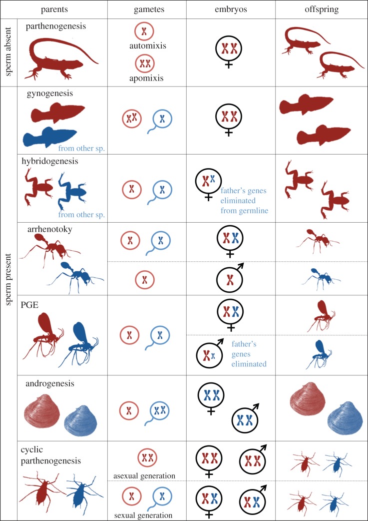 Figure 1.