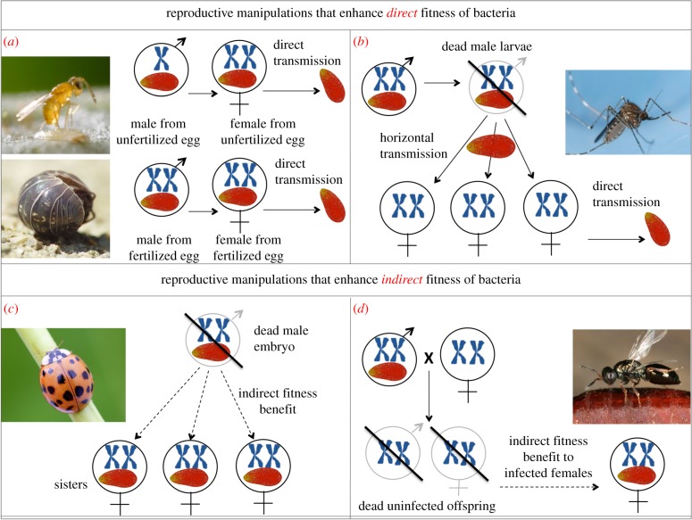 Figure 2.