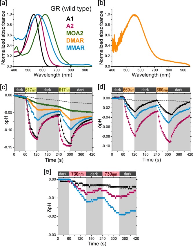 Figure 5