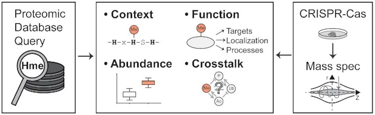 Graphical Abstract