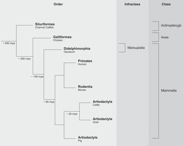 Figure 2