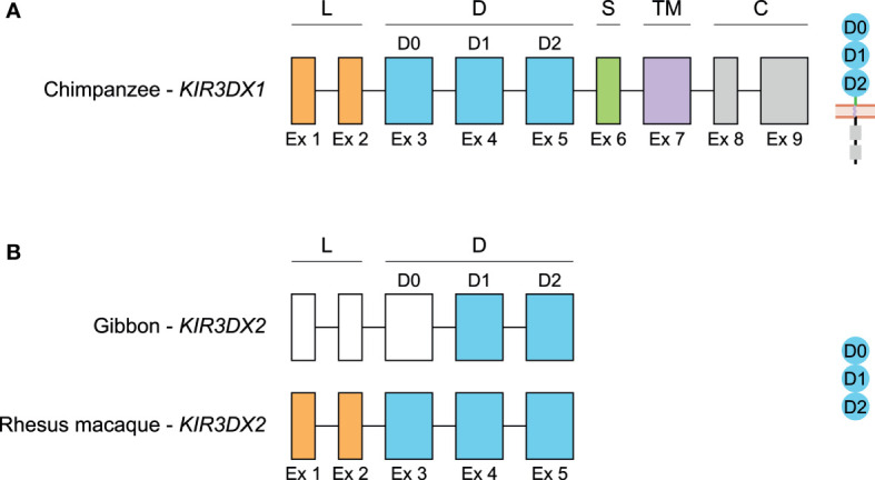 Figure 6