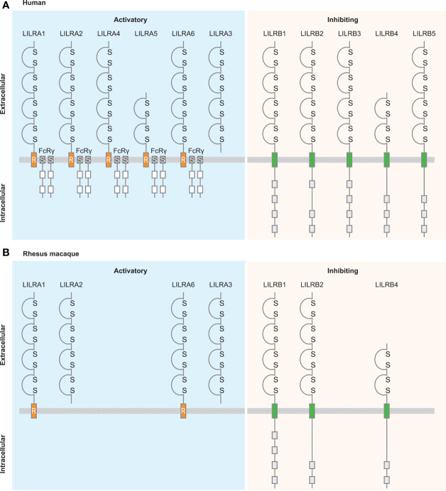 Figure 7