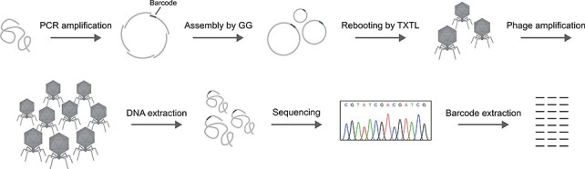 Figure 4.