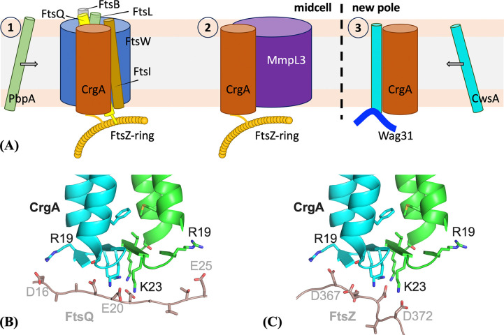 Figure 9: