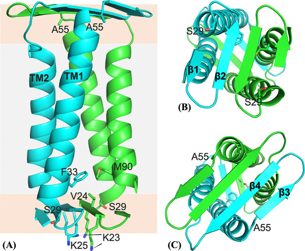 Figure 8: