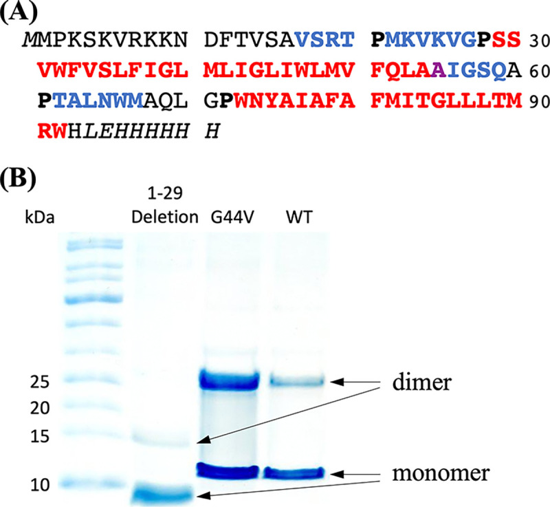 Figure 2.