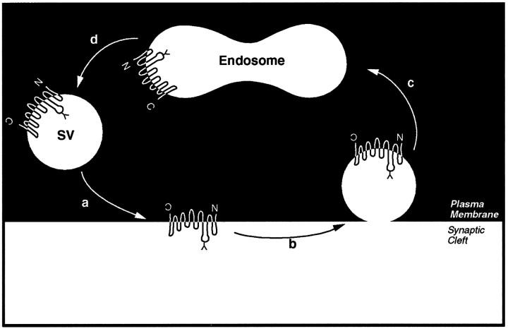 Fig. 9.