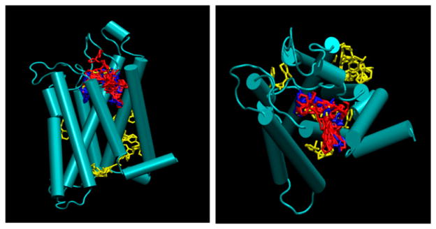 Figure 7