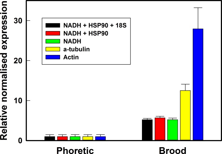 Fig 5