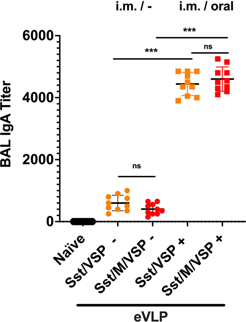 Figure 7