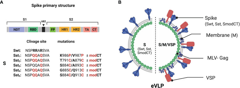 Figure 1