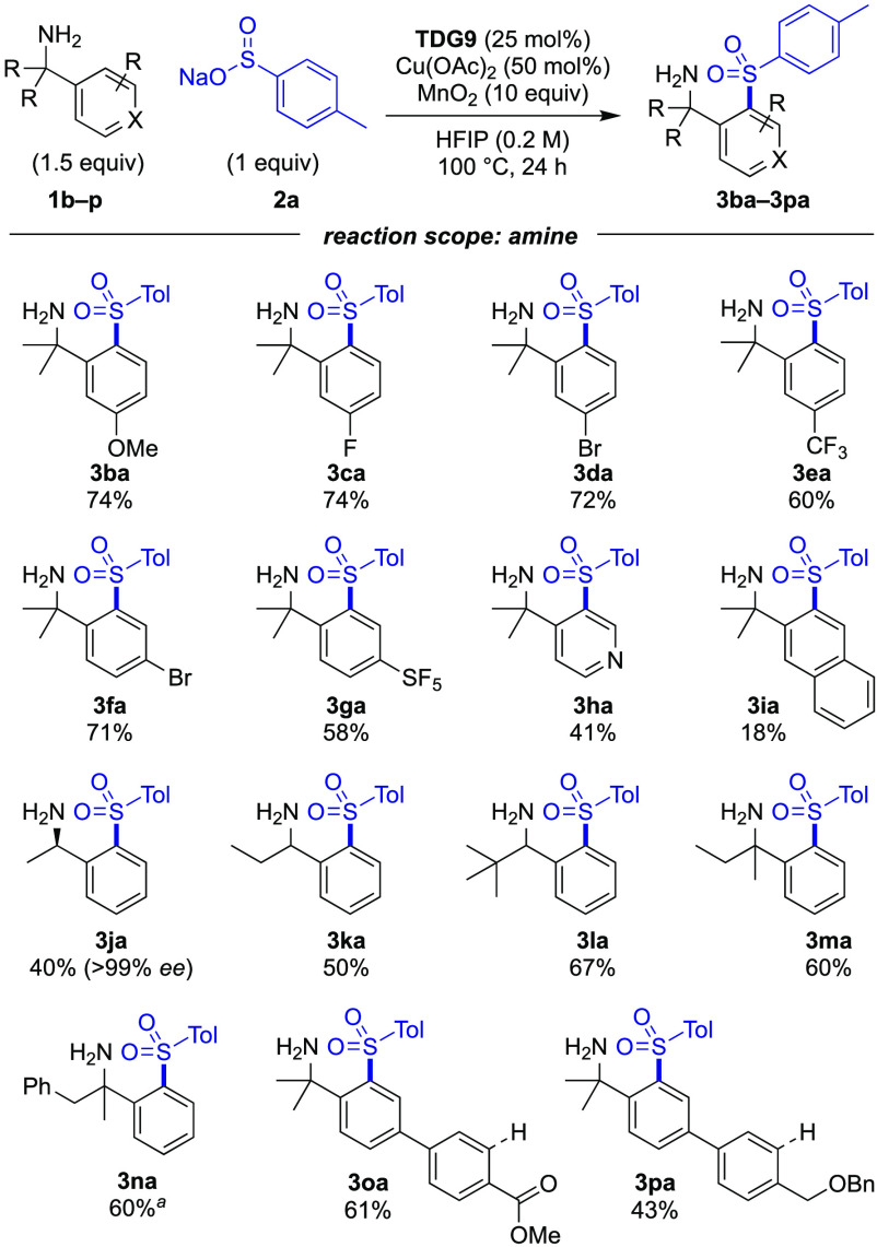 Scheme 3