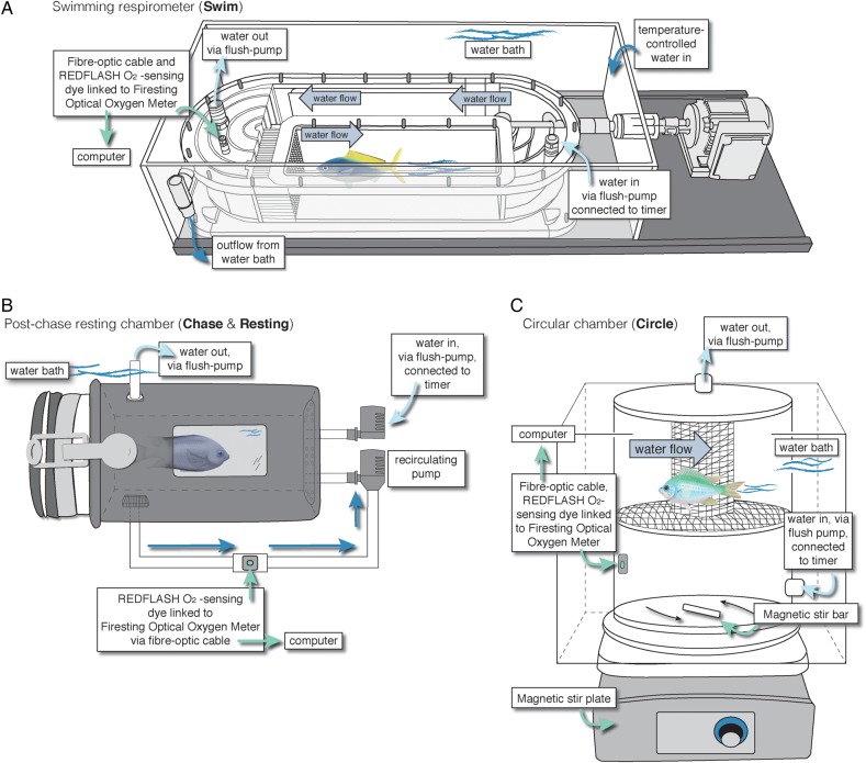 Figure 1: