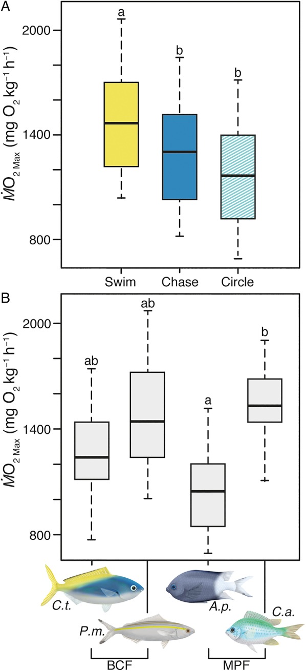 Figure 3: