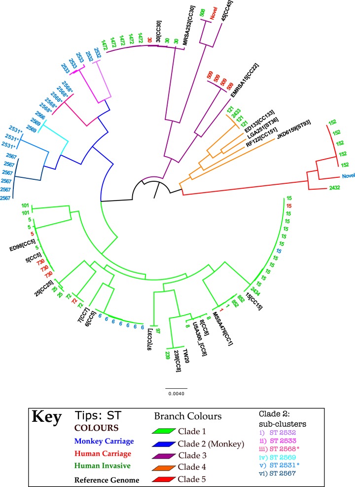 FIG 1