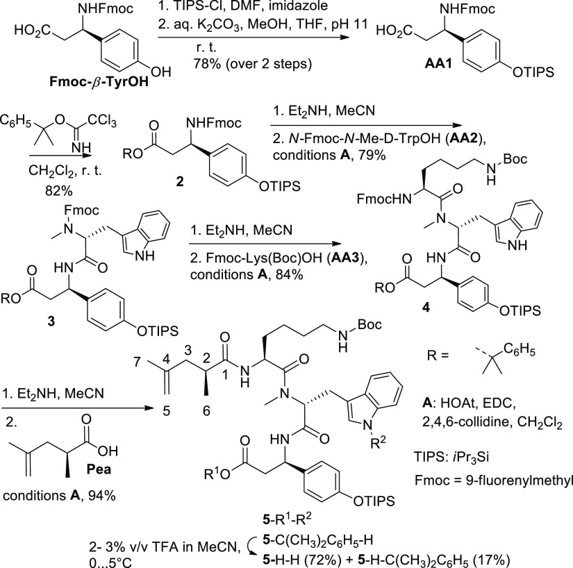 Scheme 2