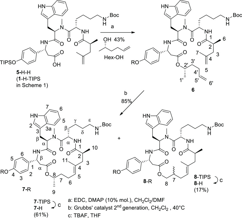 Scheme 3